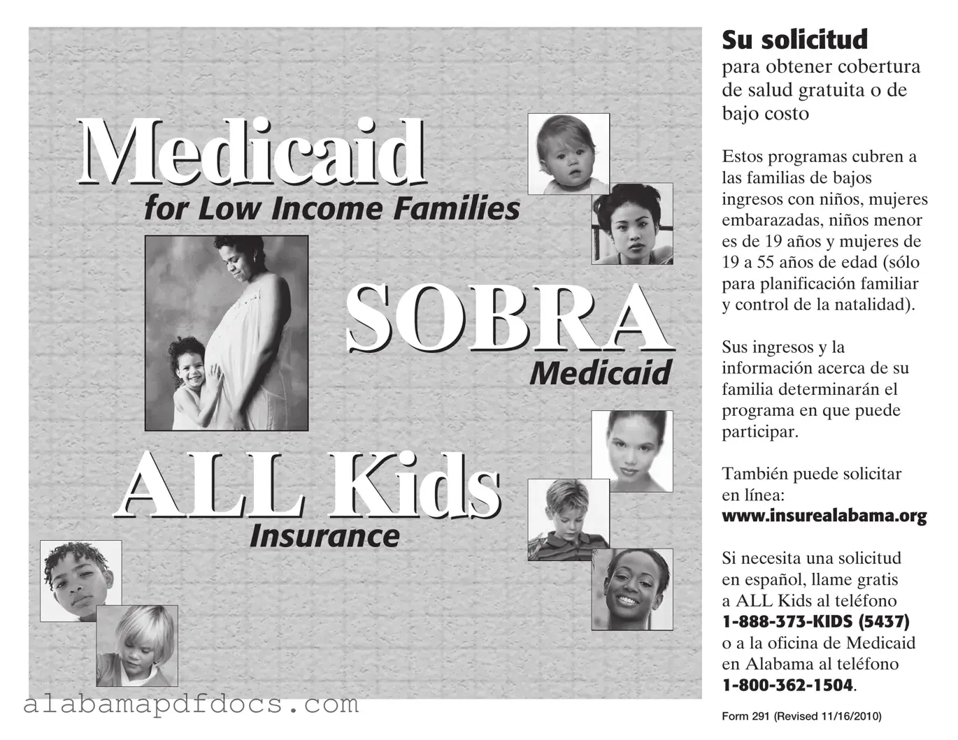 Free Insure Alabamaorg PDF Template